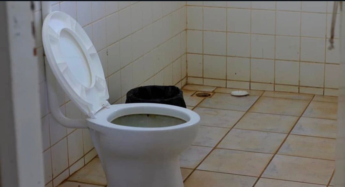 WhatsApp Image 2026-02-04 at 10.32.22 (1)